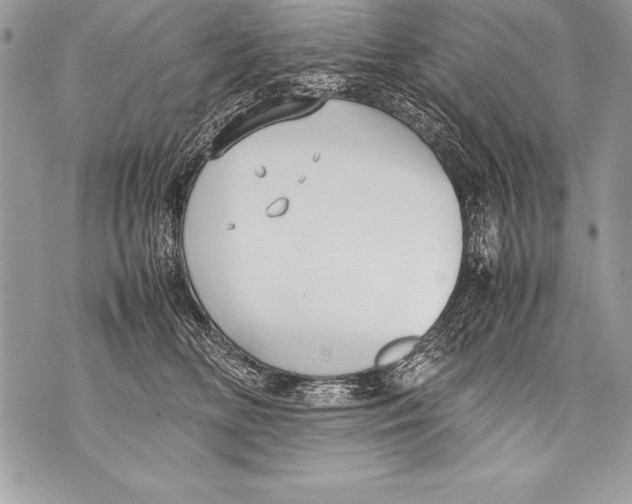 X0000070870518200607150124