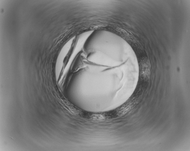 X0000070870519200607150124