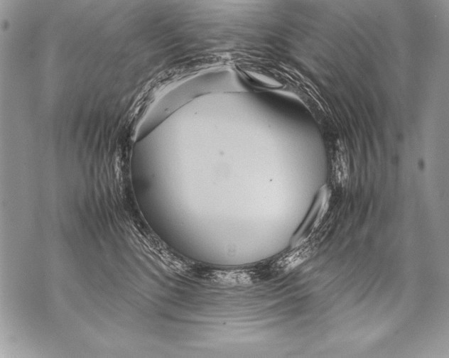 X0000070870520200607150124