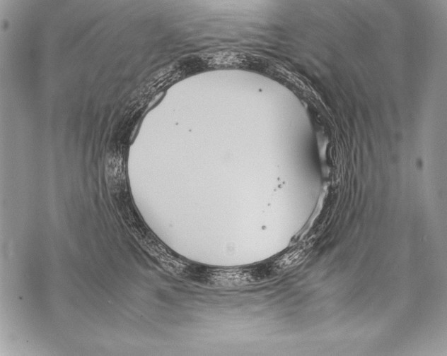 X0000070870521200607150124