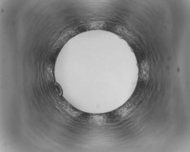 X0000070870522200607150124