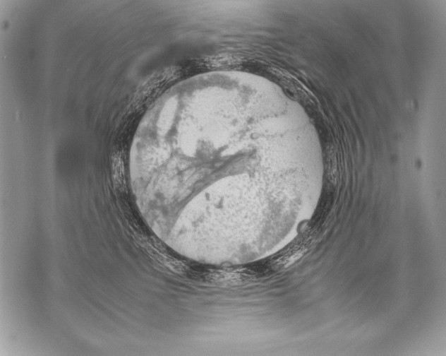 X0000070870523200607150124