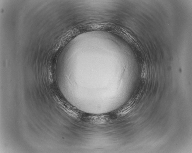 X0000070870524200607150124