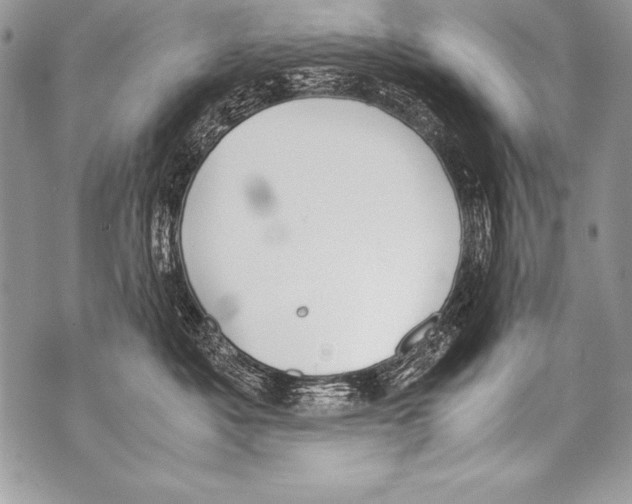 X0000070870525200607150124