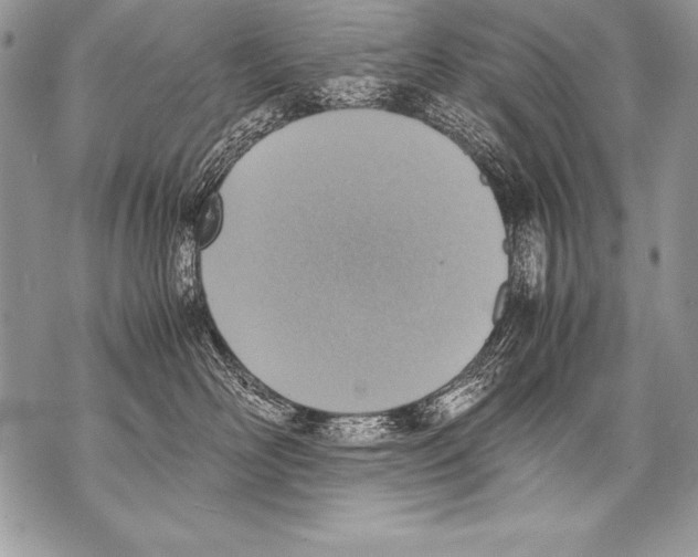 X0000070870526200607150124