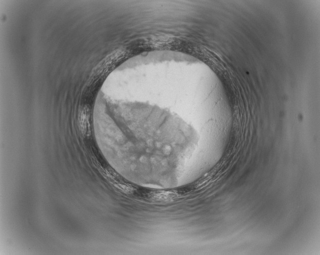 X0000070870527200607150124