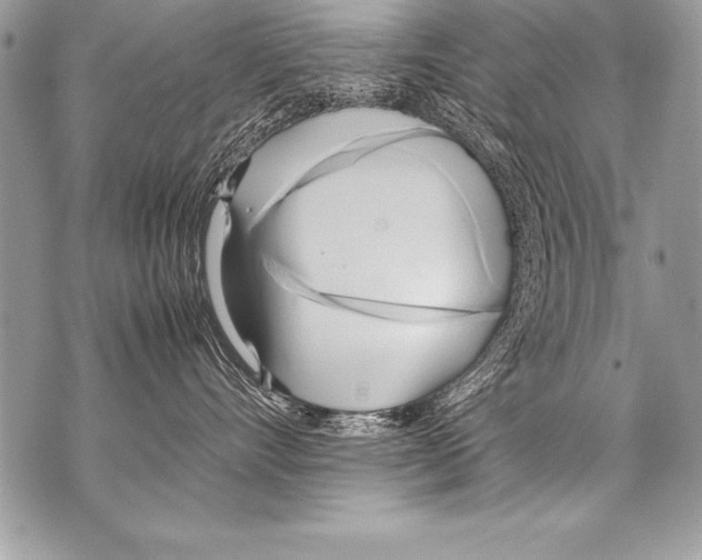 X0000070870528200607150124