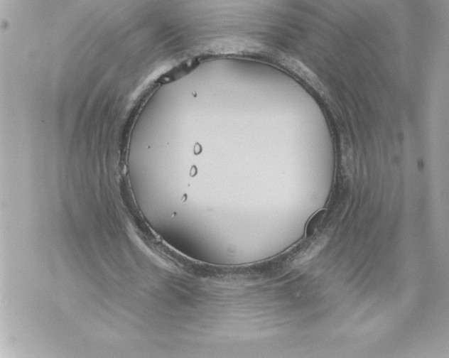 X0000070870530200607150123