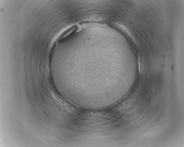 X0000070870531200607150123