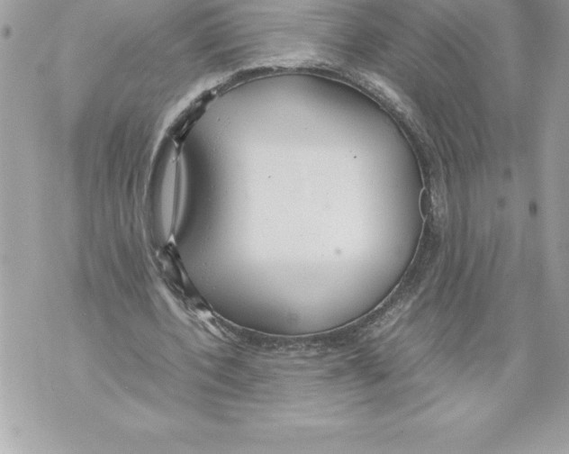 X0000070870532200607150123