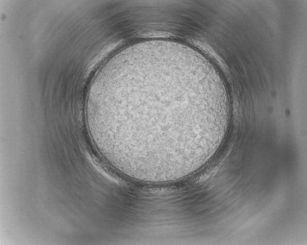 X0000070870533200607150123