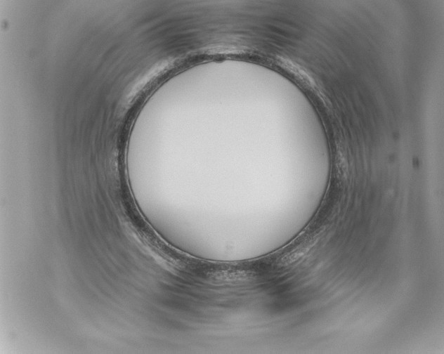 X0000070870535200607150123