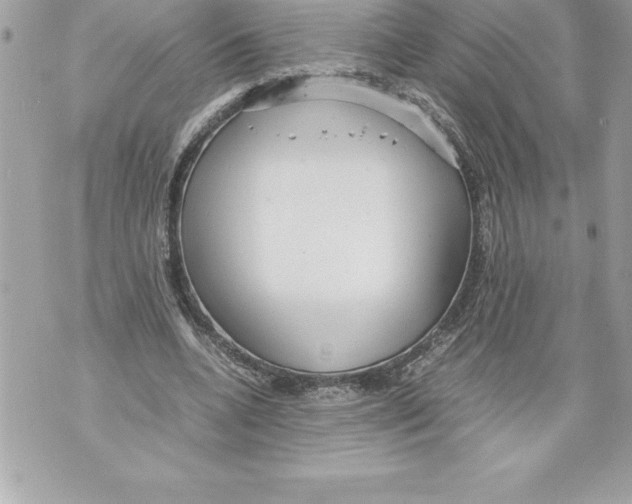 X0000070870536200607150123