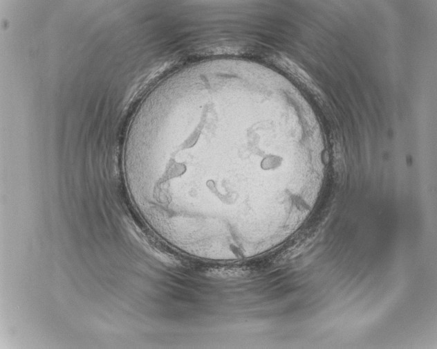 X0000070870537200607150124