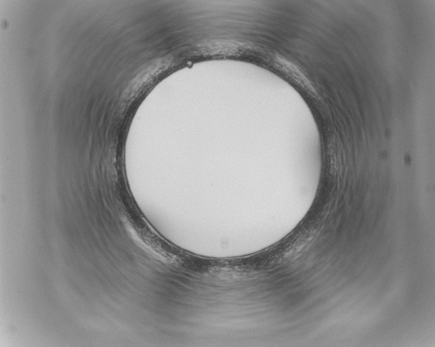 X0000070870538200607150124