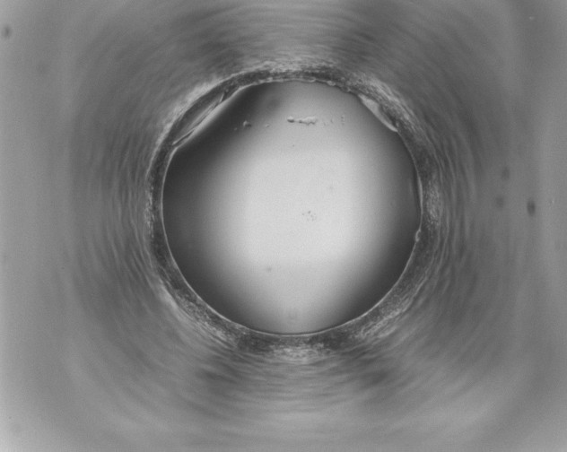 X0000070870540200607150124