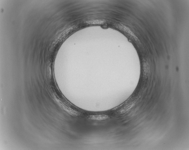 X0000070870541200607150124