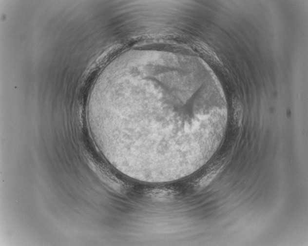 X0000070870542200607150124