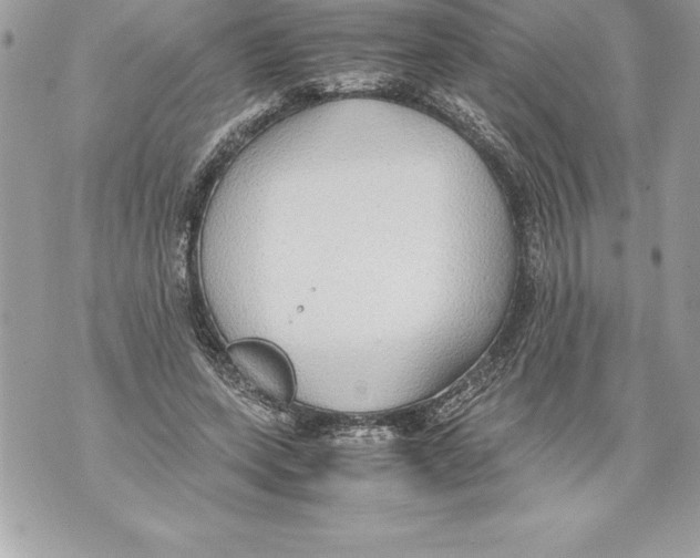 X0000070870543200607150124