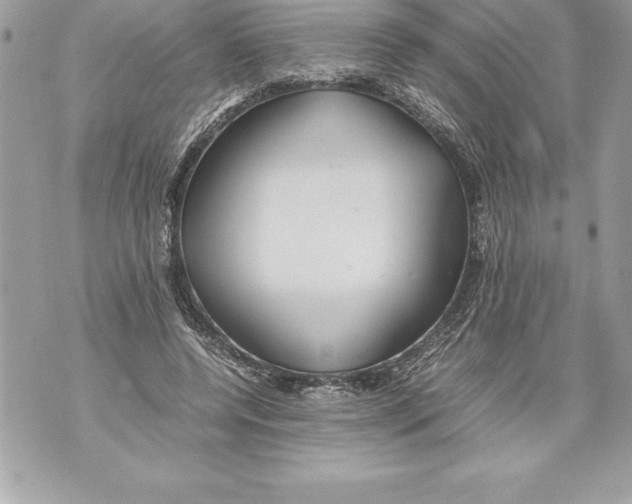 X0000070870544200607150124