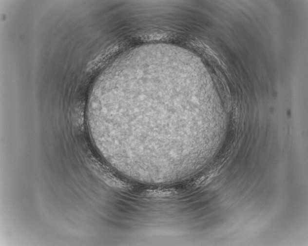 X0000070870545200607150124