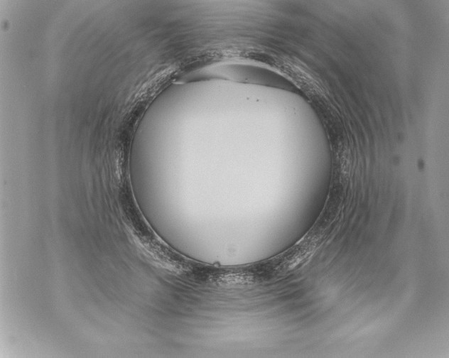 X0000070870546200607150124