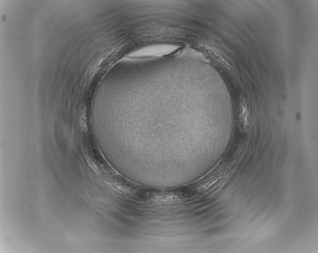 X0000070870547200607150124