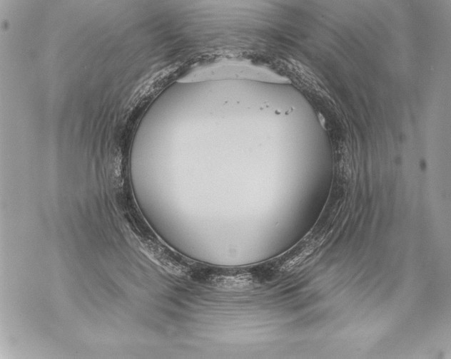 X0000070870548200607150124