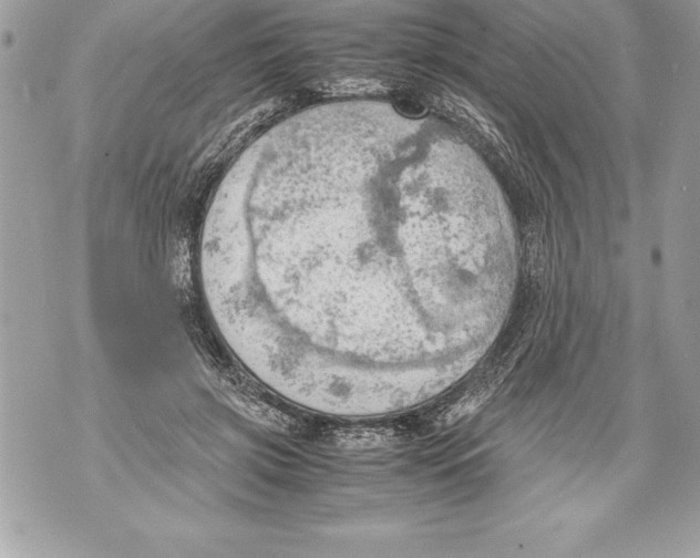 X0000070870549200607150124