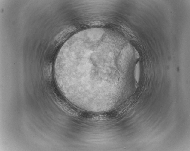 X0000070870550200607150124