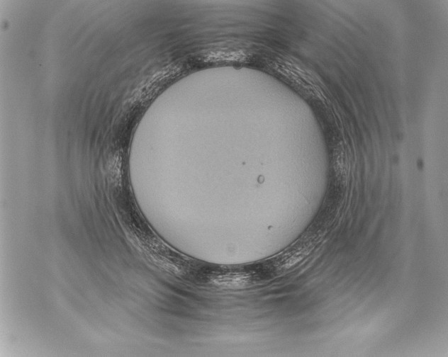 X0000070870551200607150124