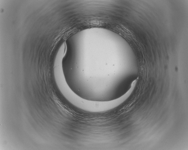 X0000070870552200607150124