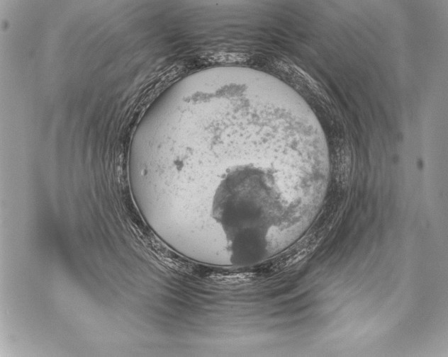 X0000070870553200607150124