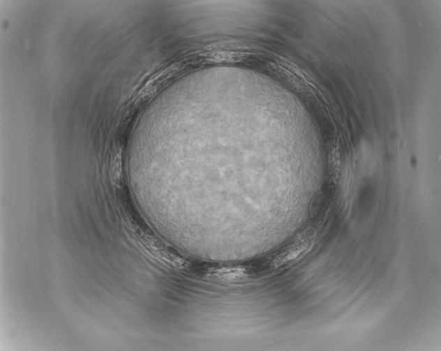 X0000070870554200607150124