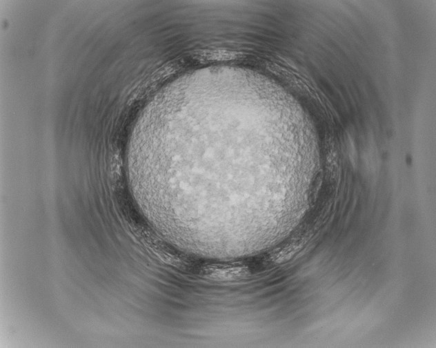 X0000070870555200607150124