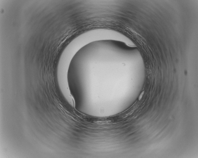 X0000070870556200607150124