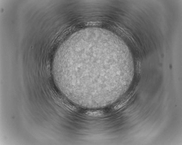 X0000070870557200607150124