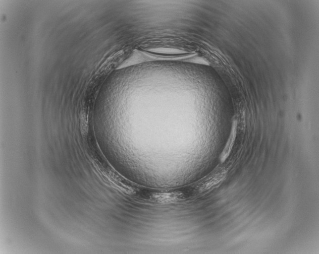 X0000070870558200607150124