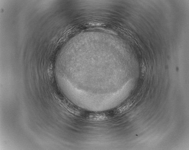 X0000070870559200607150124