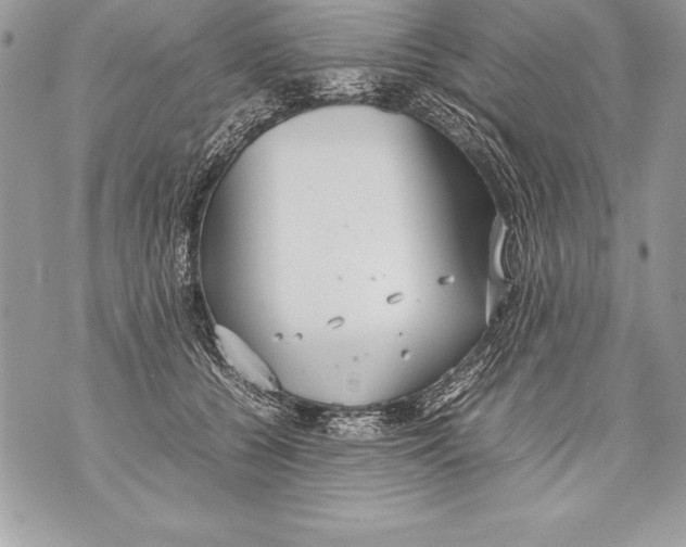 X0000070870560200607150124