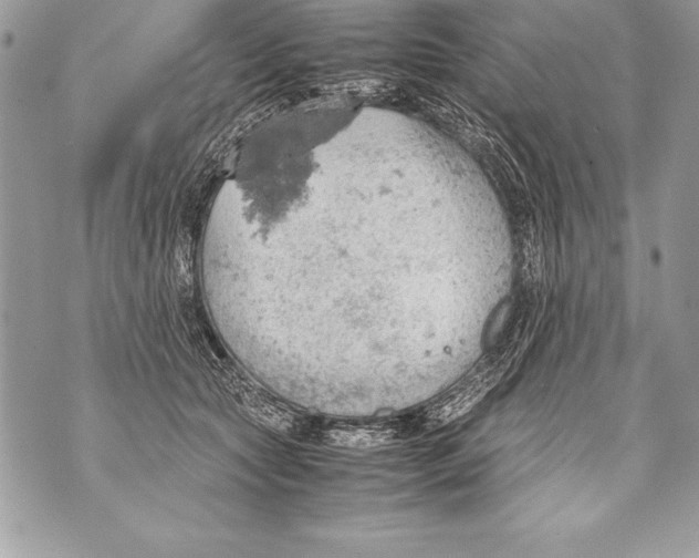 X0000070870561200607150124