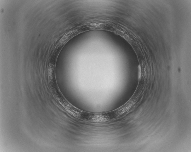 X0000070870562200607150124