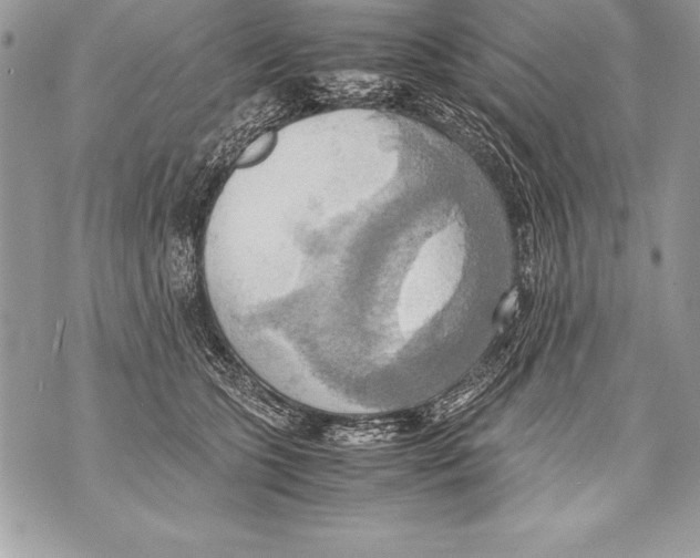 X0000070870563200607150124