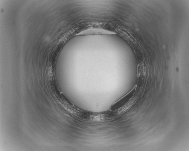 X0000070870564200607150124