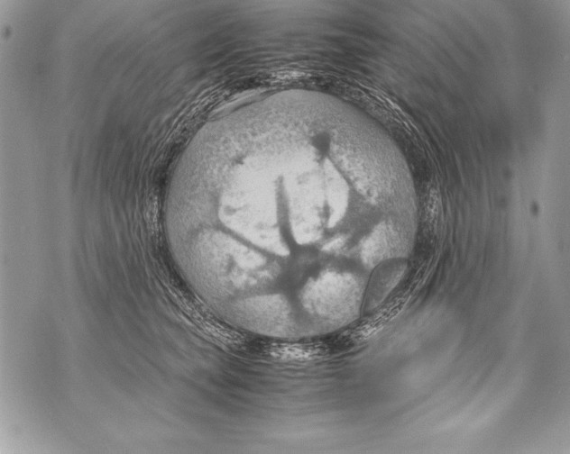 X0000070870565200607150124