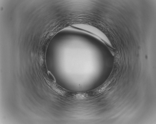 X0000070870566200607150124