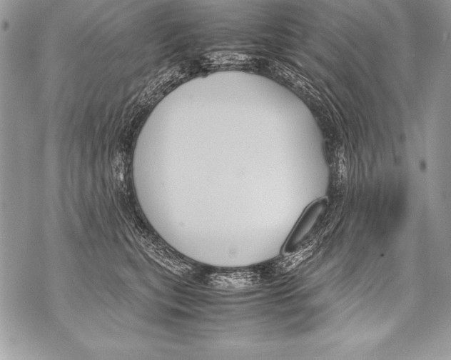 X0000070870567200607150124