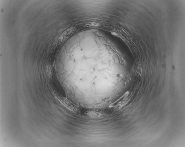 X0000070870568200607150124