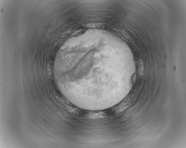 X0000070870569200607150124