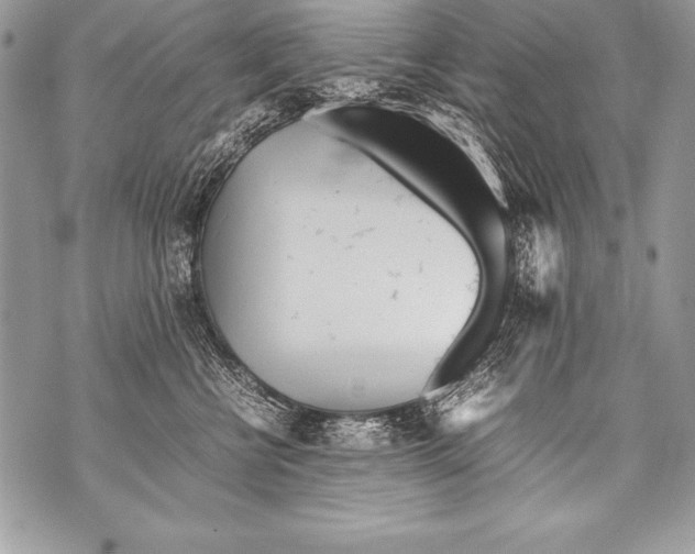 X0000070870570200607150124